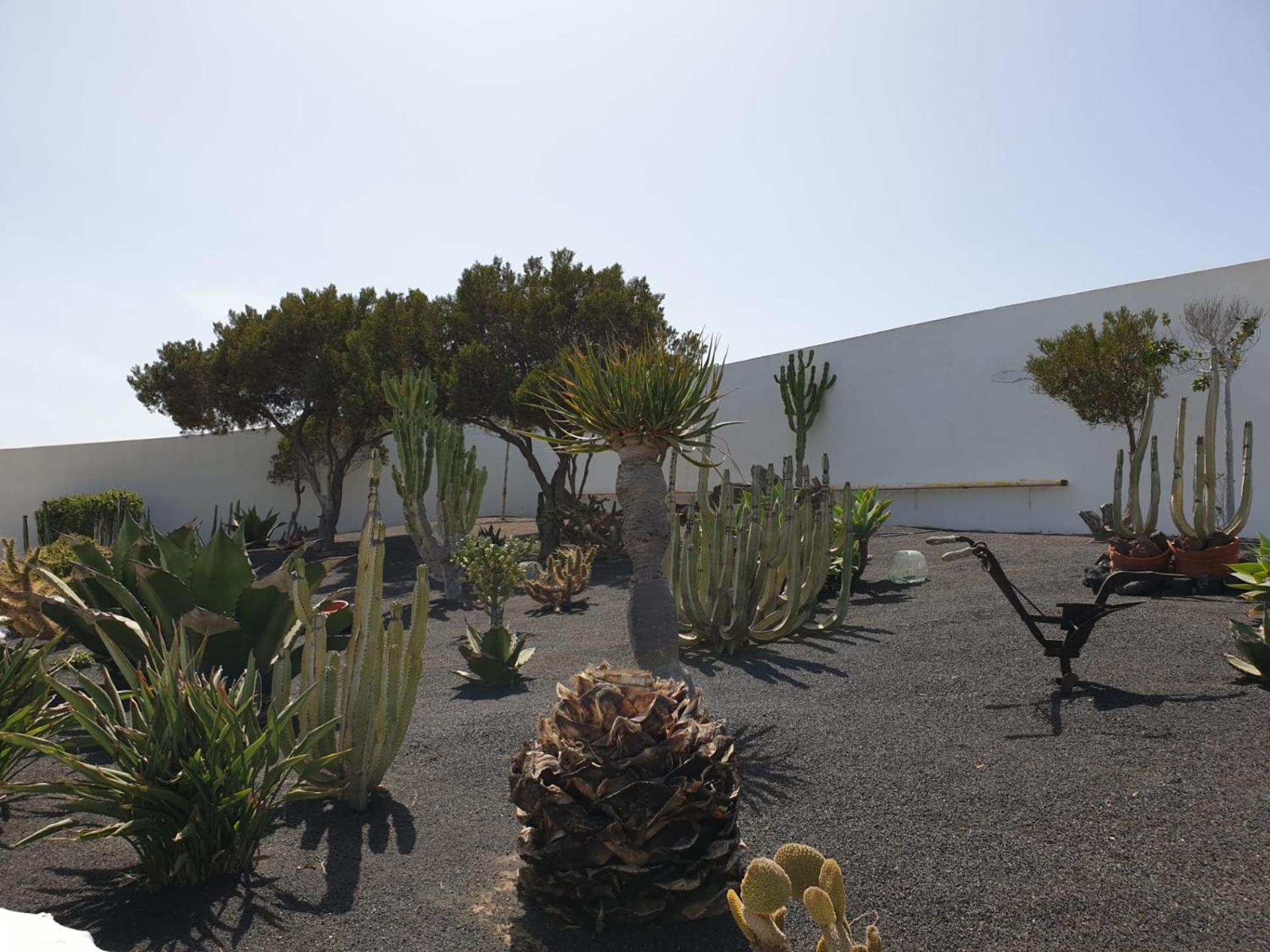 Casa Berriel 2 Villa Tías Exteriör bild